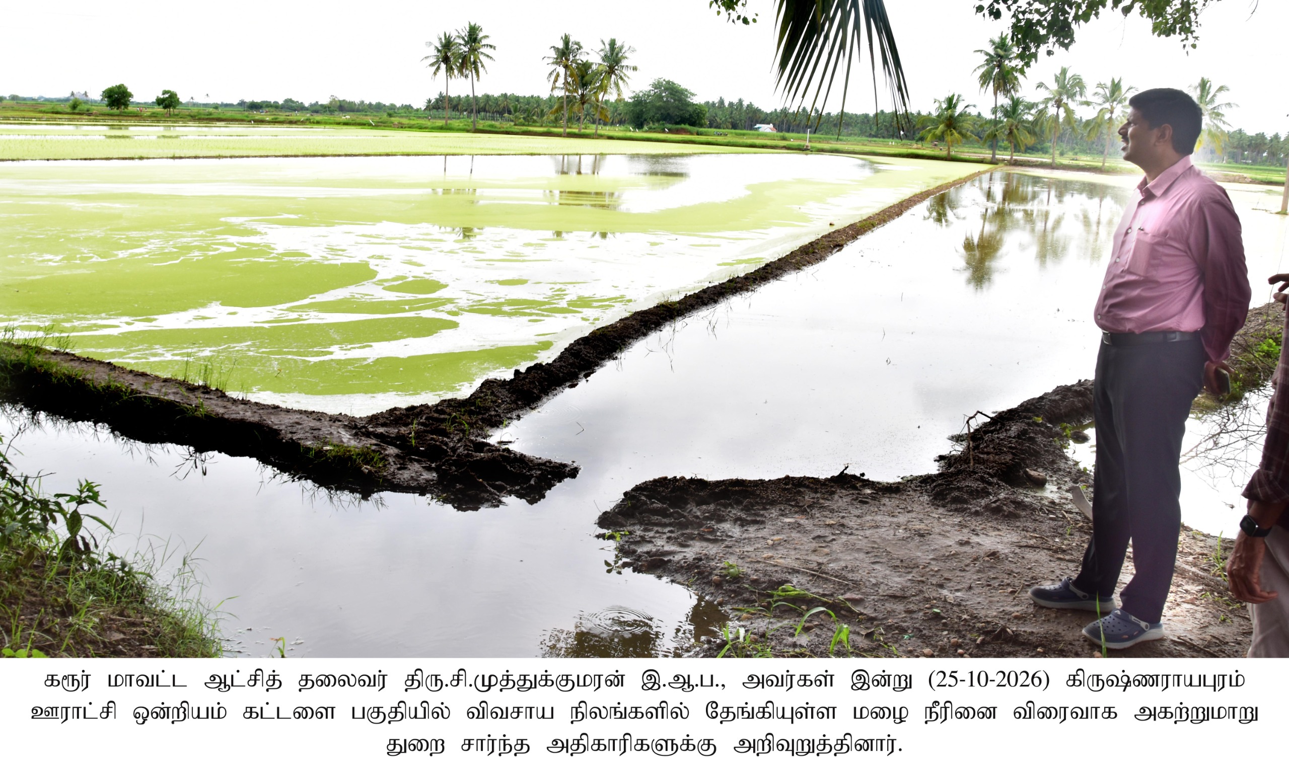 Heavy rains damaged crops on 400 acres in Karur district