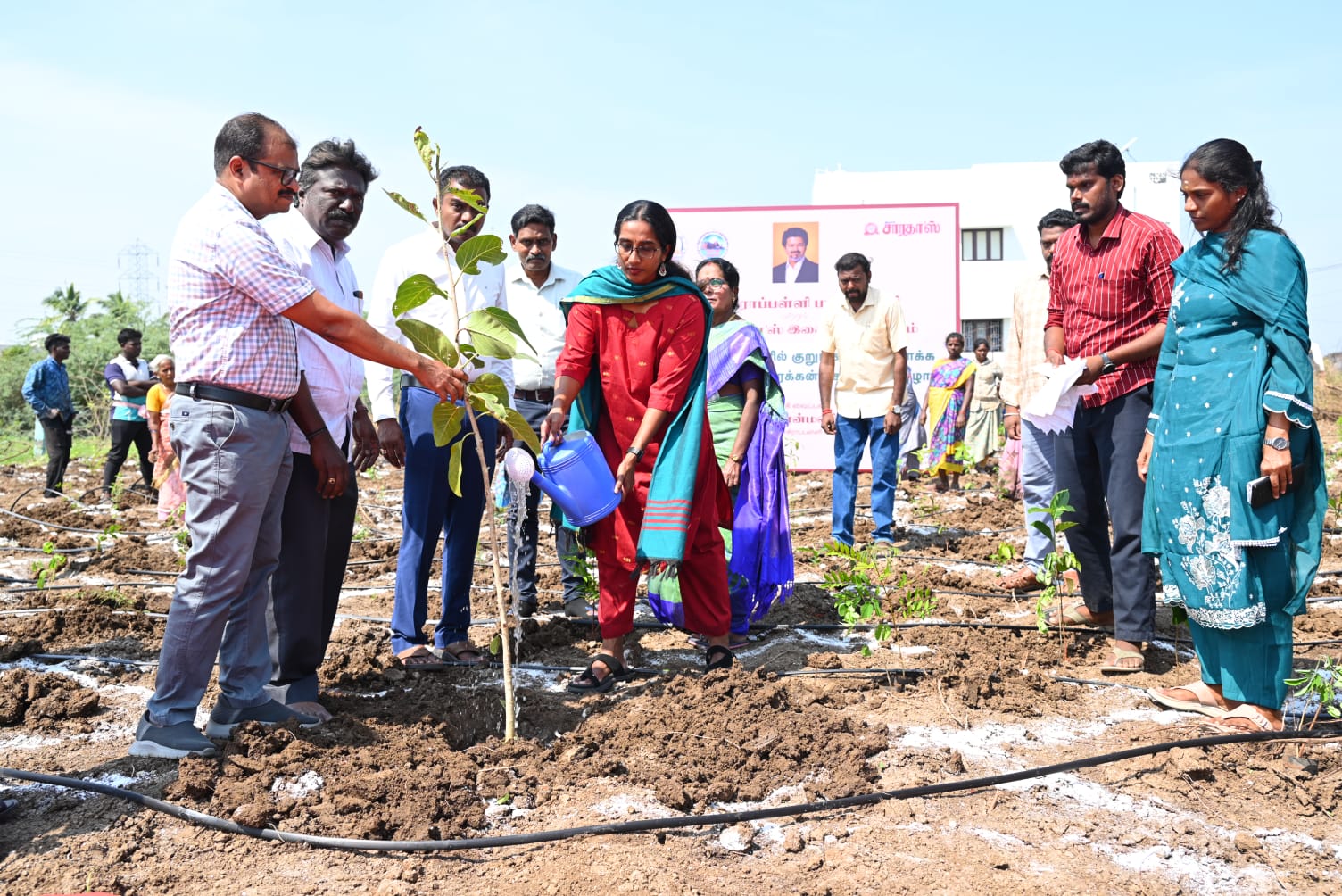 Nine urban mini forests created in city
