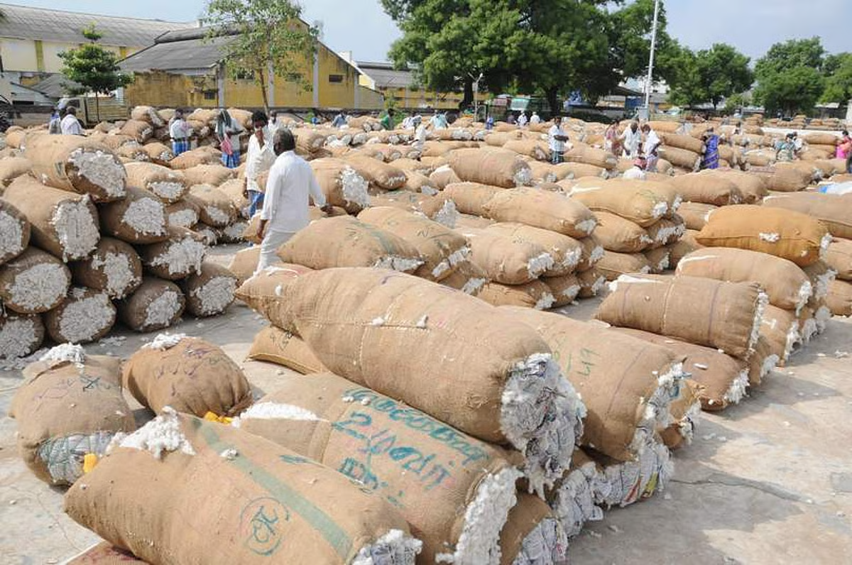 Cotton worth ₹27.30 lakh procured at auction