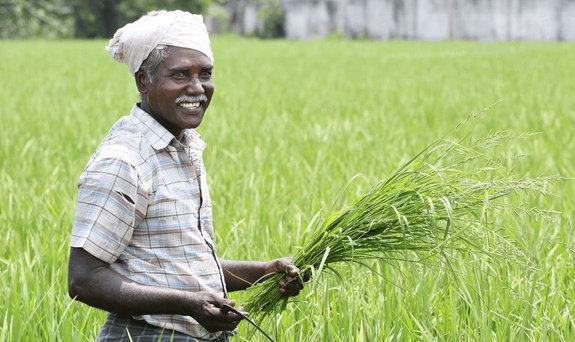 17 ஆயிரம் விவசாயிகளுக்கு ஜாக்பாட்: வேளாண் இயந்திரமயமாக்கலுக்கு ரூ.216 கோடி ஒதுக்கீடு