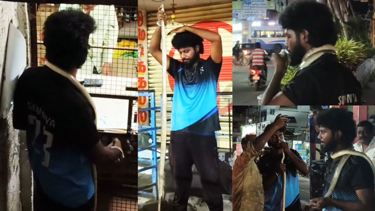 யார் சாமி நீ? கழுத்தில் பாம்பு.. கையில் பீர்.. அடாவடி செய்த நபர்