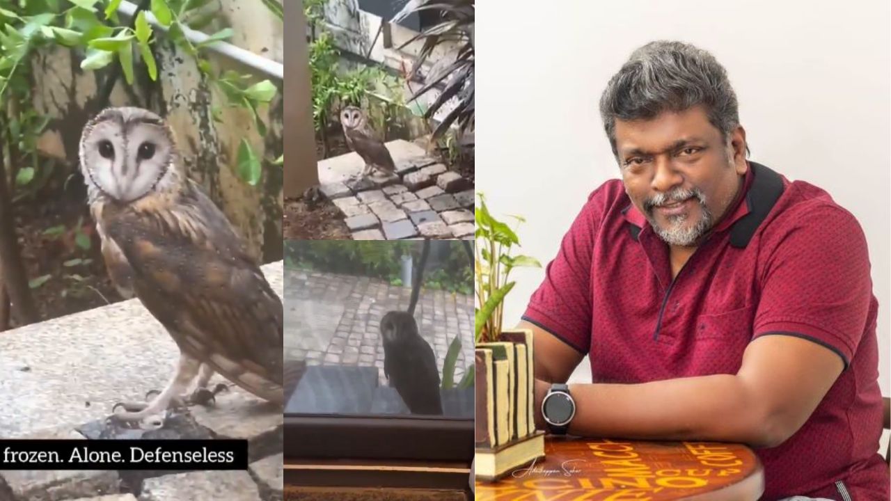 வீட்டிற்குள் வந்த ஆந்தை.. இயக்குநர் பார்த்திபன் செய்த நெகிழ்ச்சி செயல்
