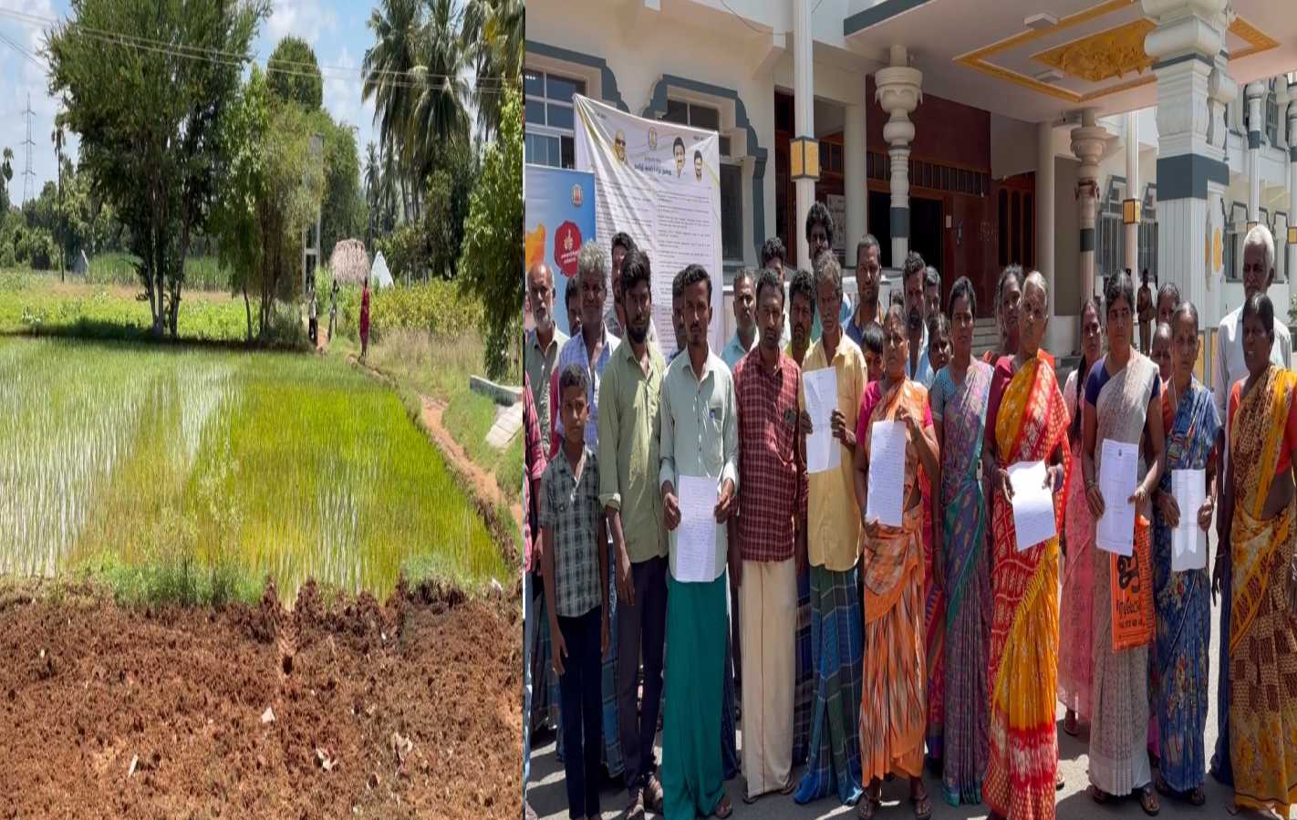 சாலையை ஆக்கிரமித்து நெல் பயிரிட்ட விசிக பிரமுகர்கள்: பொதுமக்கள் ஆத்திரம் - மாவட்ட ஆட்சியரிடம் பரபரப்புப் புகார்! 