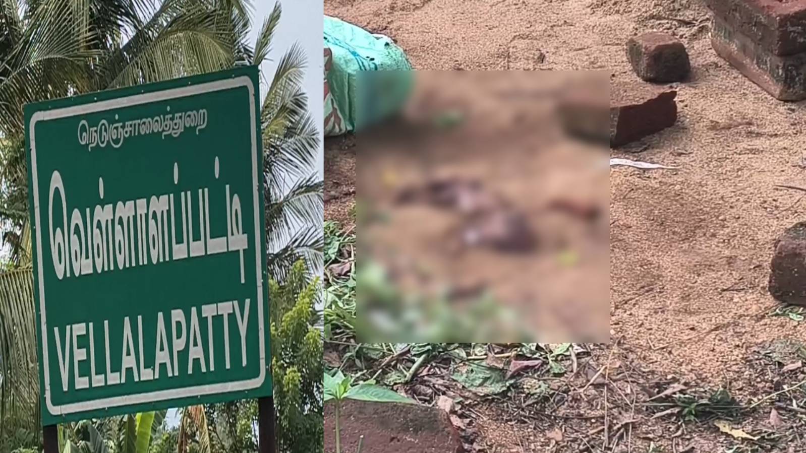  ராசிபுரத்தில் கொடூரம்! 7 மாத ஆண் சிசு புதைக்கப்பட்ட சம்பவம்; நரபலியா? கருக்கலைப்பா? மர்மம் விலகுமா? 